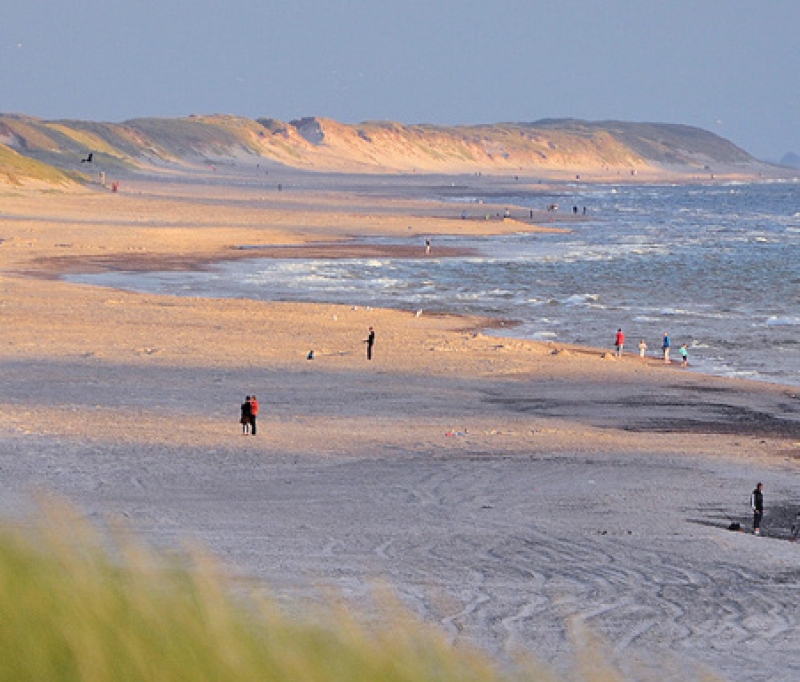 Näher an der Nordsee werden Sie kaum kommen! Bei uns erleben Sie authentische Natur, wobei das Rauschen der Nordsee stets zu hören und zu spüren ist.