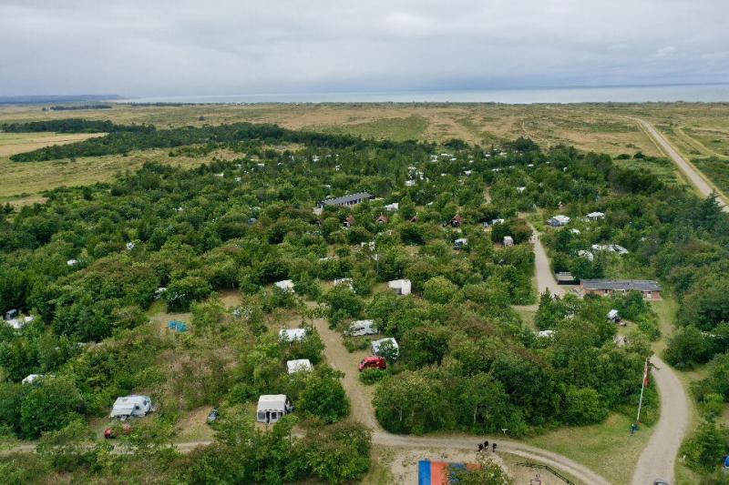 Du bekommst das Gefühl, mitten im Wald zu wohnen, während du gleichzeitig das Rauschen der Nordsee hören kannst.